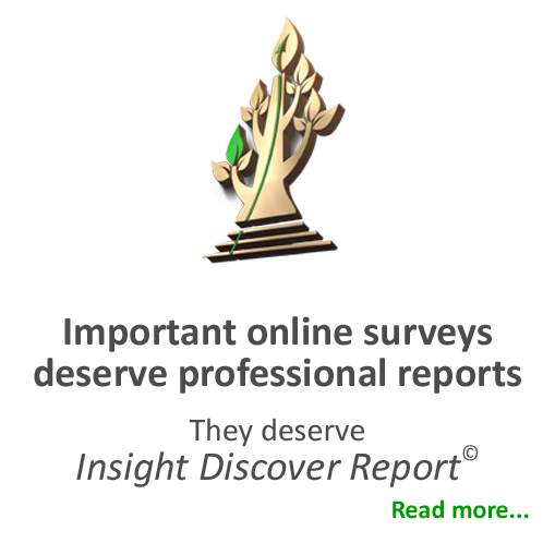 MarketingStat - Professional online survey report