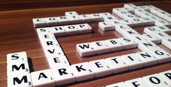 Organic growth and the Semantic Network of a website